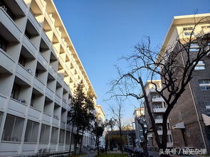 研究生激增！宿舍资源告急引众议