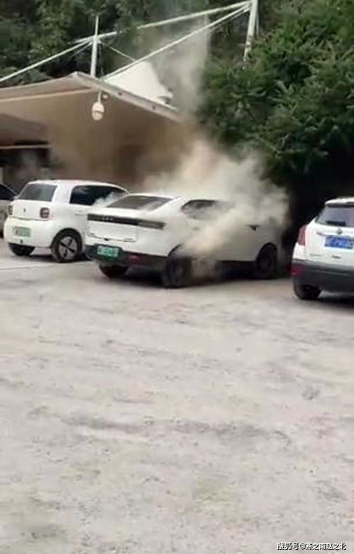 女子一顿饭停车费300元，酒店回应引争议