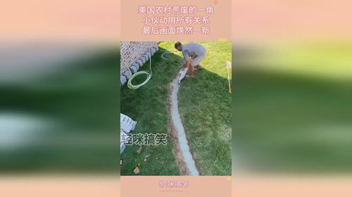 美国乡村荒废农田