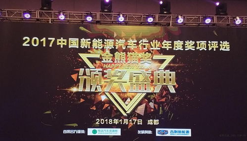 直播金熊猫奖热闹的现场全景