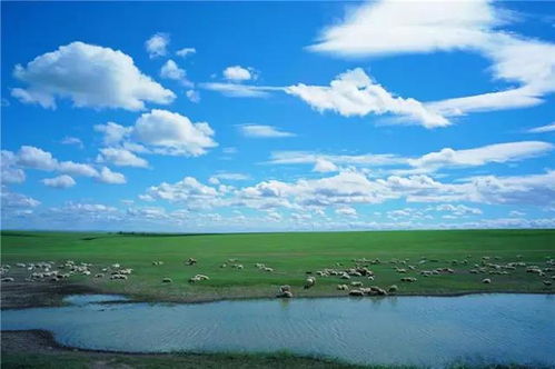 原神新地图初体验：亮点槽点全解析！