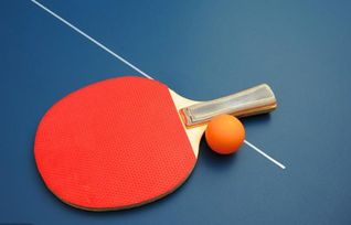 乒乓球桌上的激烈对抗