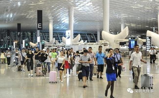 一群人玩手机上网