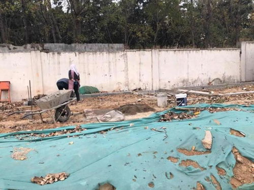 官方辟谣：泸州七桥正式通车？别轻信！