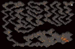 9月12日乐子限定：那些隐藏在网络角落的趣事大揭秘！