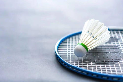 3桶羽毛球竟堪比1克黄金？这背后的故事真不简单！