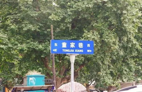 马匹站在路中央