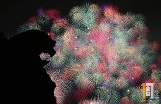 杨幂烟花庆生，这场面也太梦幻啦！