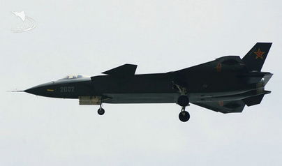 震撼！运-20舱内视角下的歼-20护航英烈