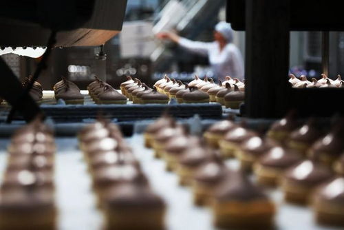 冰淇淋工厂生产线