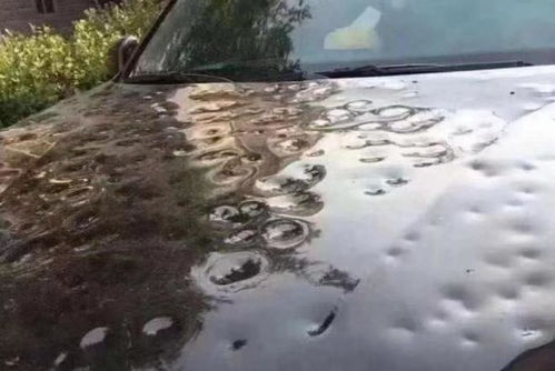 市民躲避冰雹的画面