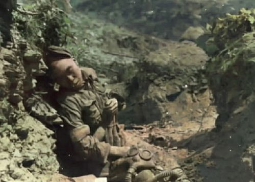 12响鸣枪礼向志愿军烈士致以崇高敬意