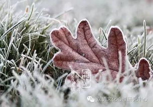 美国农民惨状：中国不买农产品就只能销毁？太绝望！