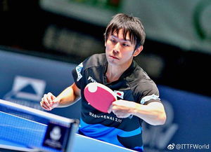 日本男乒澳门赛首轮全军覆没！背后原因引人深思