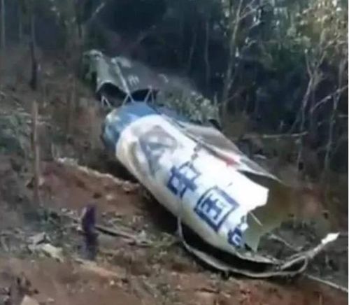 疑似不明物残骸