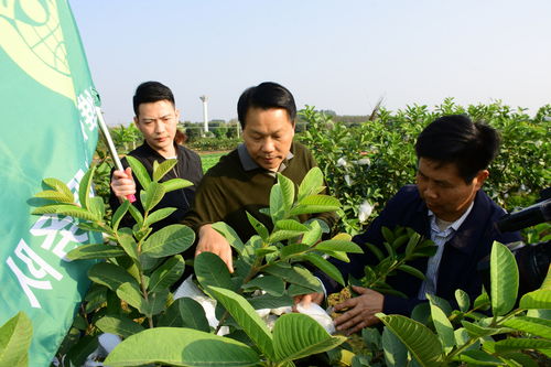 志愿者服务队纪念志愿军活动