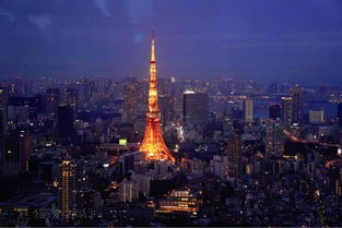 2025东京田径世锦赛：热血沸腾的赛场风云！