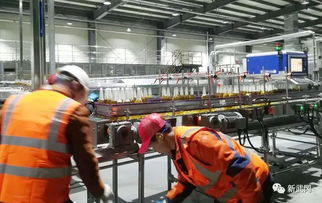 国产啤酒生产过程