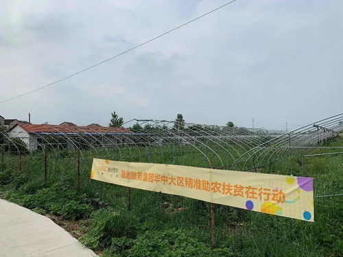 女子瓜地奇遇记：神秘东西瓜现身！