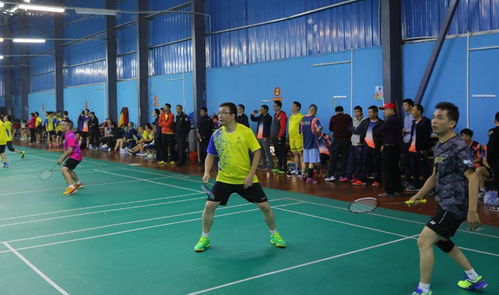 雨果VS王楚钦，男单决赛巅峰对决！