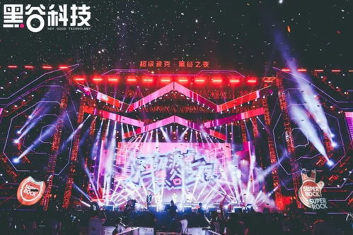 演唱会现场狂欢场景