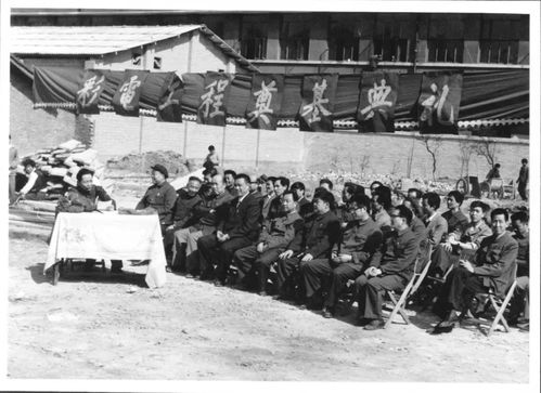 年轻人围看地图