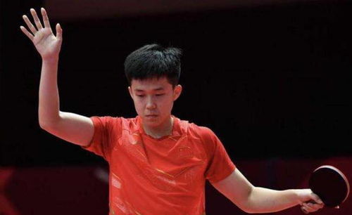 王楚钦横扫张禹珍，4比0背后的故事