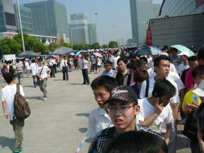 游客们有序排队购买门票的场景