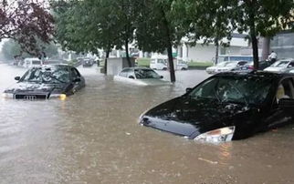 车辆被冰雹砸坏