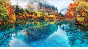 九寨沟彩林倒映湖面的美景