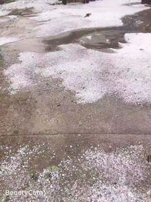 北京冰雹似雪落下，这背后究竟藏着啥秘密？