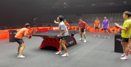 国乒五虎将征战澳门冠军赛，王楚钦能否带领男队夺冠？