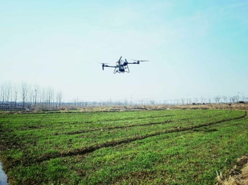 无人机在农田上空进行作业