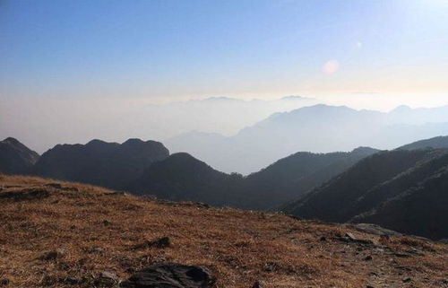 多多站在山顶眺望远方
