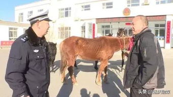 交警勘察现场图