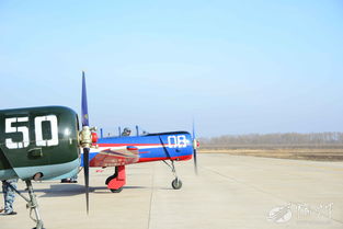 商业风云再起波澜：贾国龙、罗永浩、宗馥莉最新动态及9月机票跳水全解析