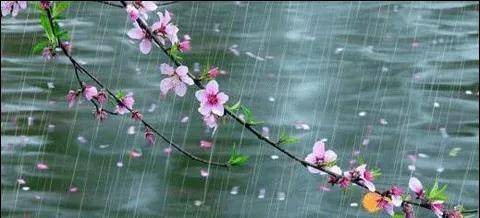 春雨加油！微博热搜背后的故事