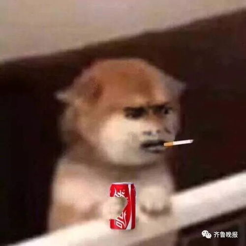 日本人唾弃石平的表情包