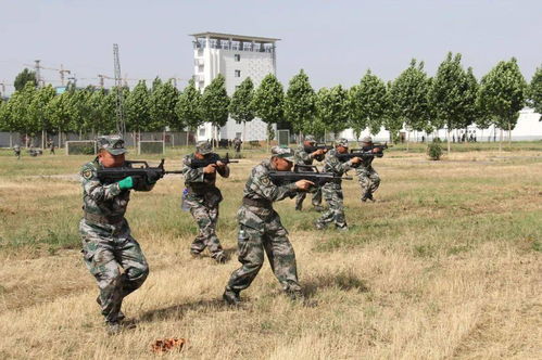 委内瑞拉民兵训练队伍震撼场景大揭秘