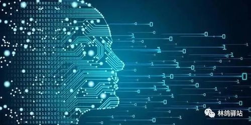 AI创业相关的数据展示