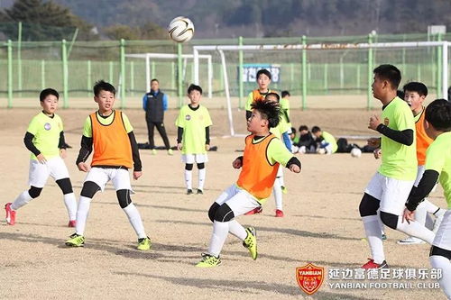 Falcons队员日常训练场景