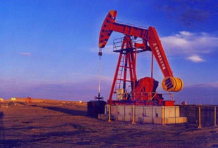 中东民众看清美国所谓‘保护’的真面目