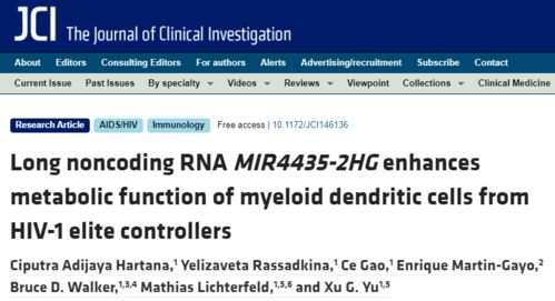 免疫细胞对抗病毒图