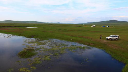 清澈的河流与鱼群