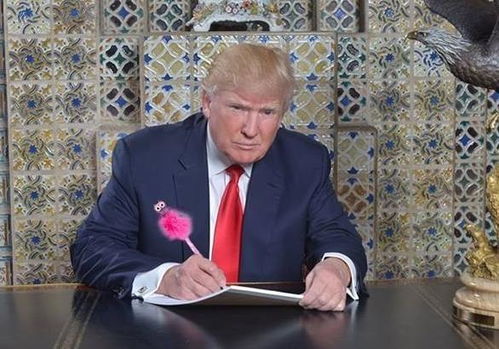 外交部再谈墨西哥关税问题，背后有何深意？