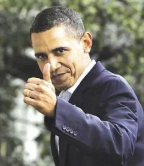 巴总统竖大拇指与歼 - 10 合影