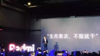 雷军发布会照片