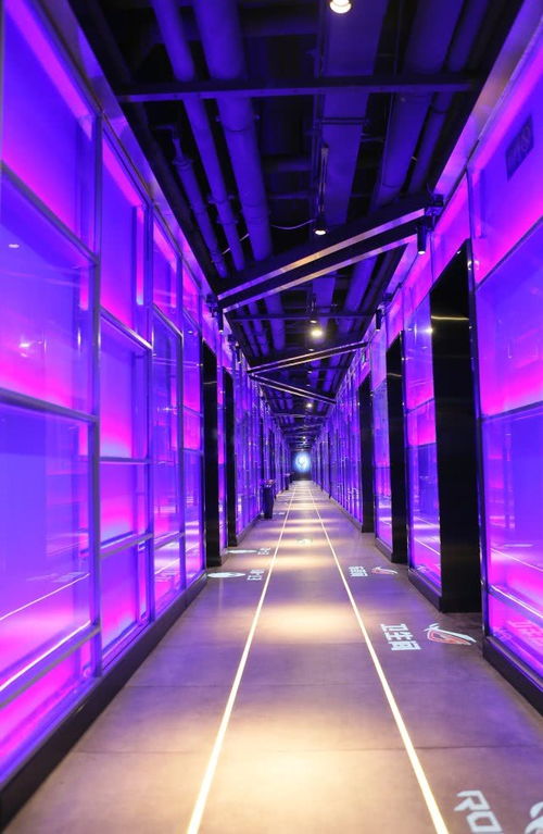 电竞选手专注比赛