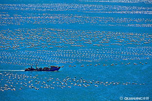 神州山海间，此生必驾之路的绝美体验