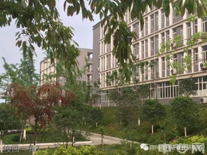 韩国中小学班级人数竟不降反升，背后真相引人深思！